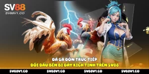 Đá gà đòn trực tiếp